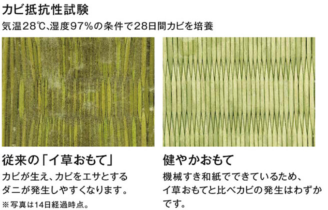 ダイケン健やかおもて 試験結果1