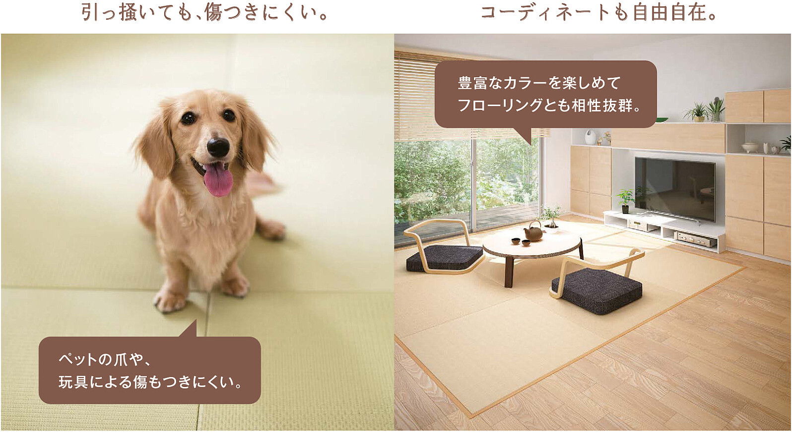 ダイケン健やかおもて 特長2