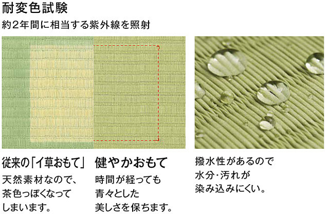 ダイケン健やかおもて 試験結果2